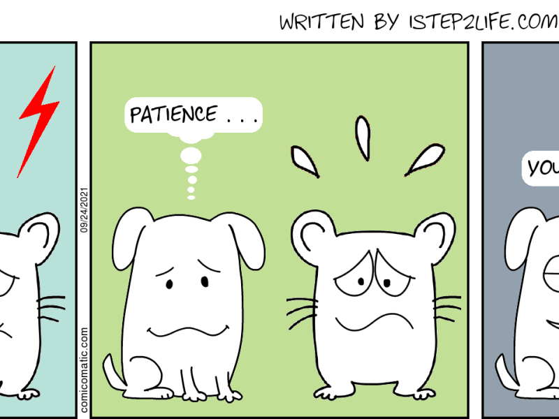 Patience