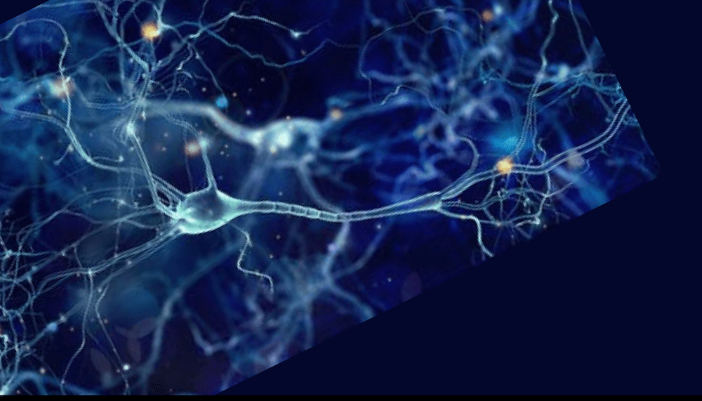 Mind the Gap: Neurons &&nbsp;Synapses
